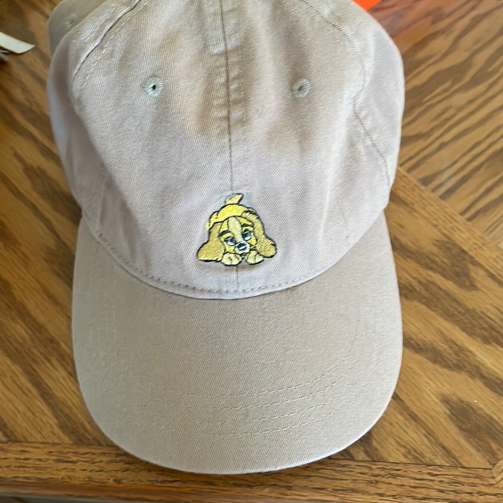 Disney hat